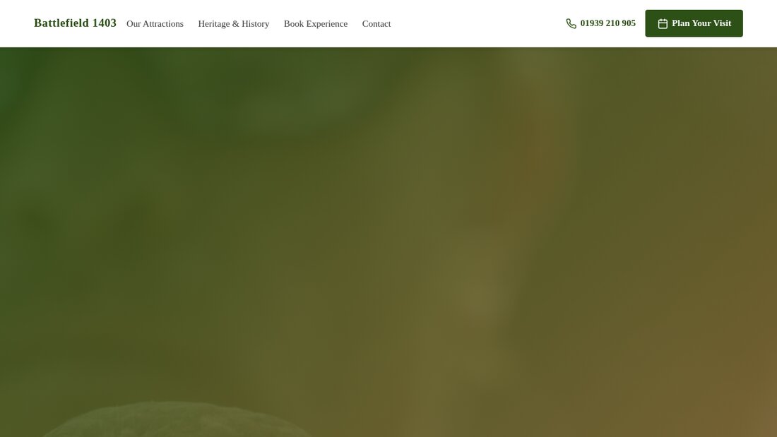 Visitor attraction website concept
