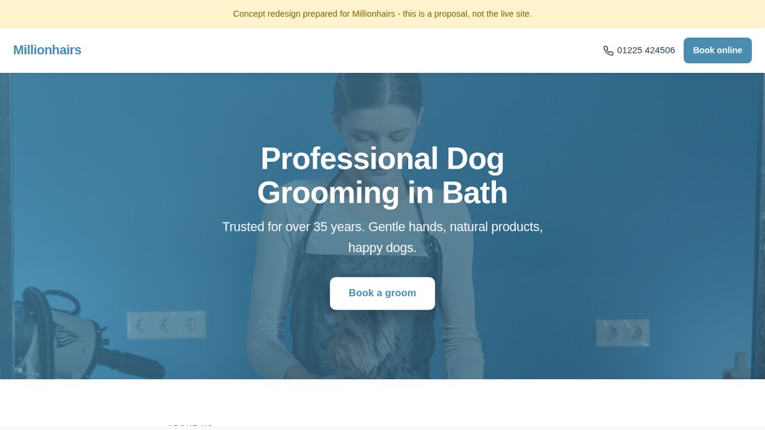 Dog grooming website concept