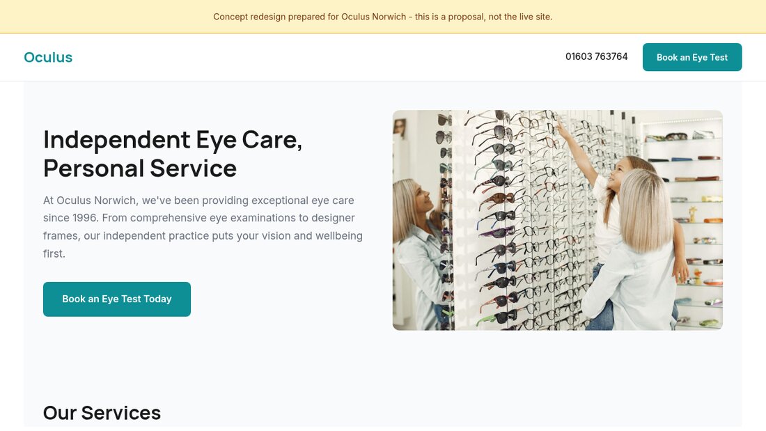 Optician website concept